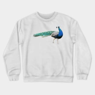 Peacock Digital Painting Crewneck Sweatshirt